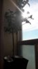 20180601_182052.jpg