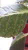 20180618_083644.jpg