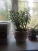 20180618_132203.jpg