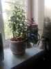 20180618_132224.jpg