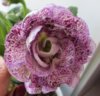 2018-06-12 13-33-51.JPG