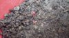 20180619_105911.jpg
