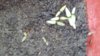 20180622_145042.jpg