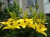 2009-01-10 03-59-48.JPG