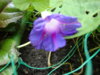 2009-01-10 04-02-38.JPG