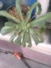 IMG-20180715-WA0001.jpg