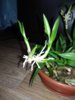 IMG_20180727_201032.jpg
