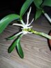 IMG_20180727_201041.jpg
