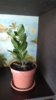 IMG-20180822-WA0016.jpeg