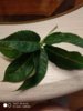 IMG_20180824_194443.jpg