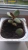 IMG-20180815-WA0005.jpeg