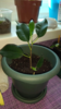 Screenshot_2018-09-07-21-34-22-785_com.whatsapp.png