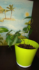 Screenshot_2018-09-07-21-34-42-207_com.whatsapp.png