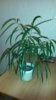 20180917_203406.jpg