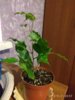 IMG_20180921_205745.jpg