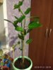 IMG_20180921_205943.jpg