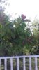 20180916_160455.jpg
