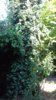 20180916_160841.jpg