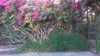 20180918_182105.jpg