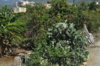DSC_0361.JPG