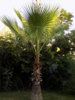 DSCN0166.JPG