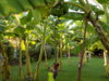 DSCN0187.JPG