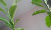 20181108_105201.jpg