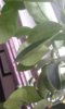 20181108_104952.jpg