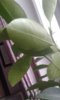 20181108_105018.jpg