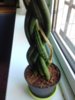 20181112_090956.jpg