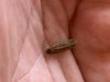 IMG-20181119-WA0000.jpg