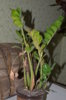 DSC_6793.JPG