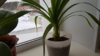 20190116_162416.jpg
