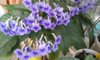 20170515_111306.jpg