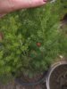 IMG_20181216_112529.jpg