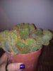 IMG_20190206_080542.jpg