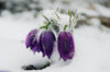 IMG-20190209-WA0001.jpg