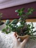 IMG_20190215_091754.jpg