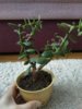 IMG_20190215_091527_BURST1.jpg