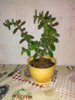 IMG_20190216_234552.jpg