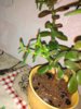 IMG_20190216_234648.jpg
