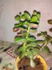 IMG_20190216_234740.jpg
