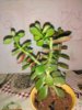 IMG_20190216_235233.jpg