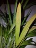 20190218_172104.jpg