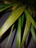 20190218_171656.jpg