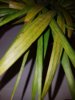 20190218_171659.jpg