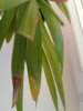 20190218_165239.jpg