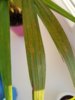 20190218_165310.jpg