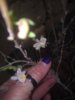 IMG_20190218_170840.jpg