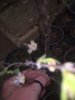 IMG_20190218_170833.jpg